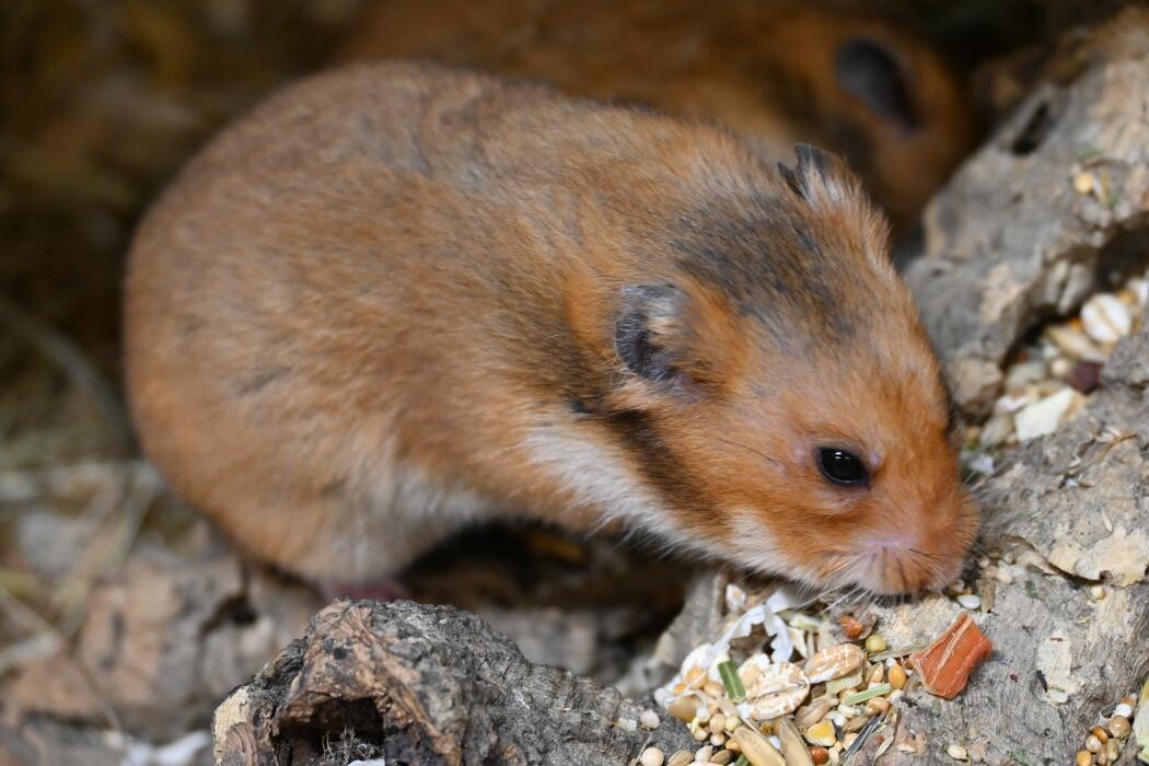 Bilder DAS FUTTERHAUS - Bremen-Weserpark
