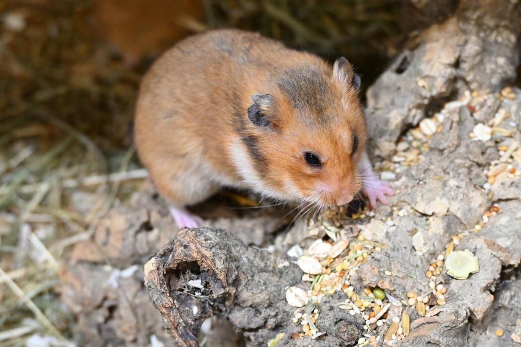 Bilder DAS FUTTERHAUS - Bremen-Weserpark