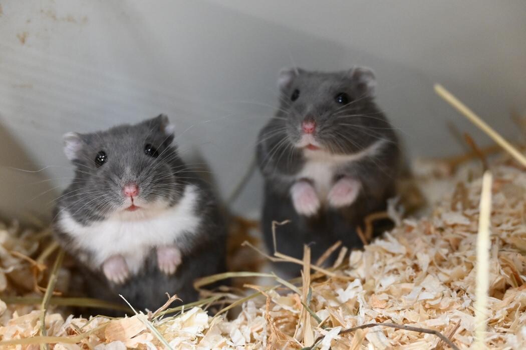 Bilder DAS FUTTERHAUS - Bremen-Weserpark