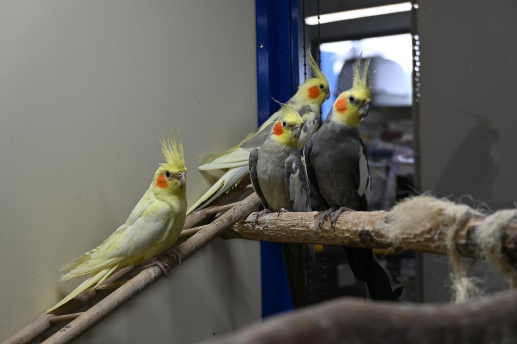 Bilder DAS FUTTERHAUS - Bremen-Weserpark