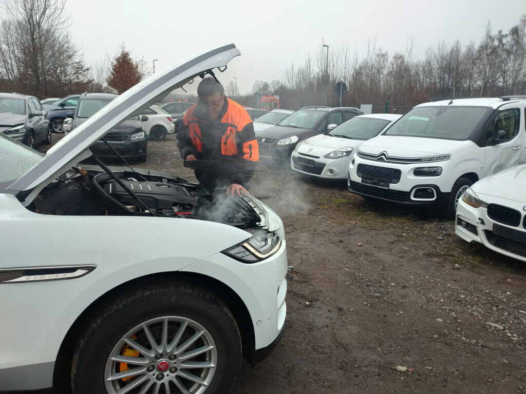 Bilder Deobald Trading GmbH