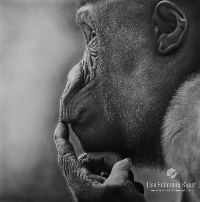 Bilder Lisa Follmann Kunst
