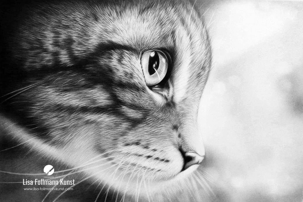 Bilder Lisa Follmann Kunst