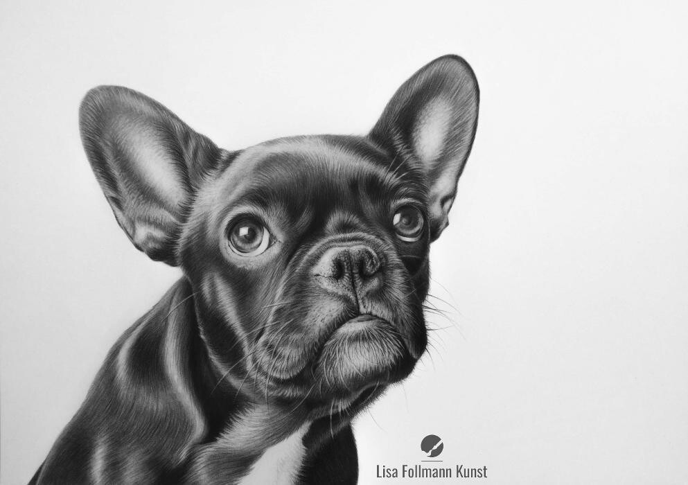Bilder Lisa Follmann Kunst