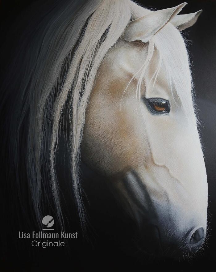 Bilder Lisa Follmann Kunst