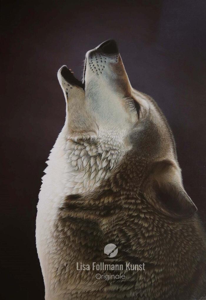 Bilder Lisa Follmann Kunst