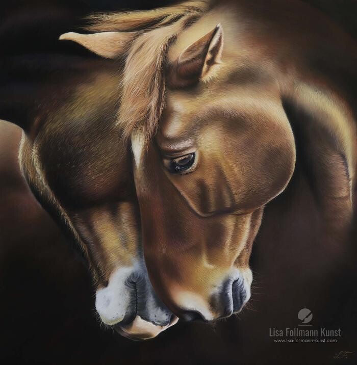 Bilder Lisa Follmann Kunst