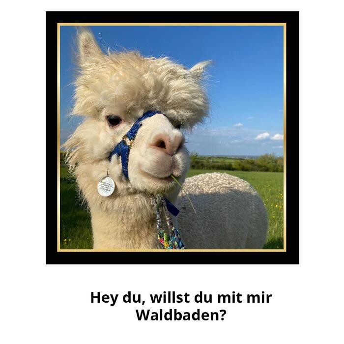 Bilder Britta Linnartz - Mach es einfach entspannter