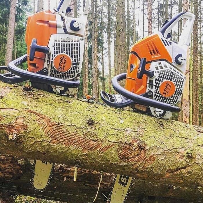 Bilder Baumdienst Klettermaxe e.K