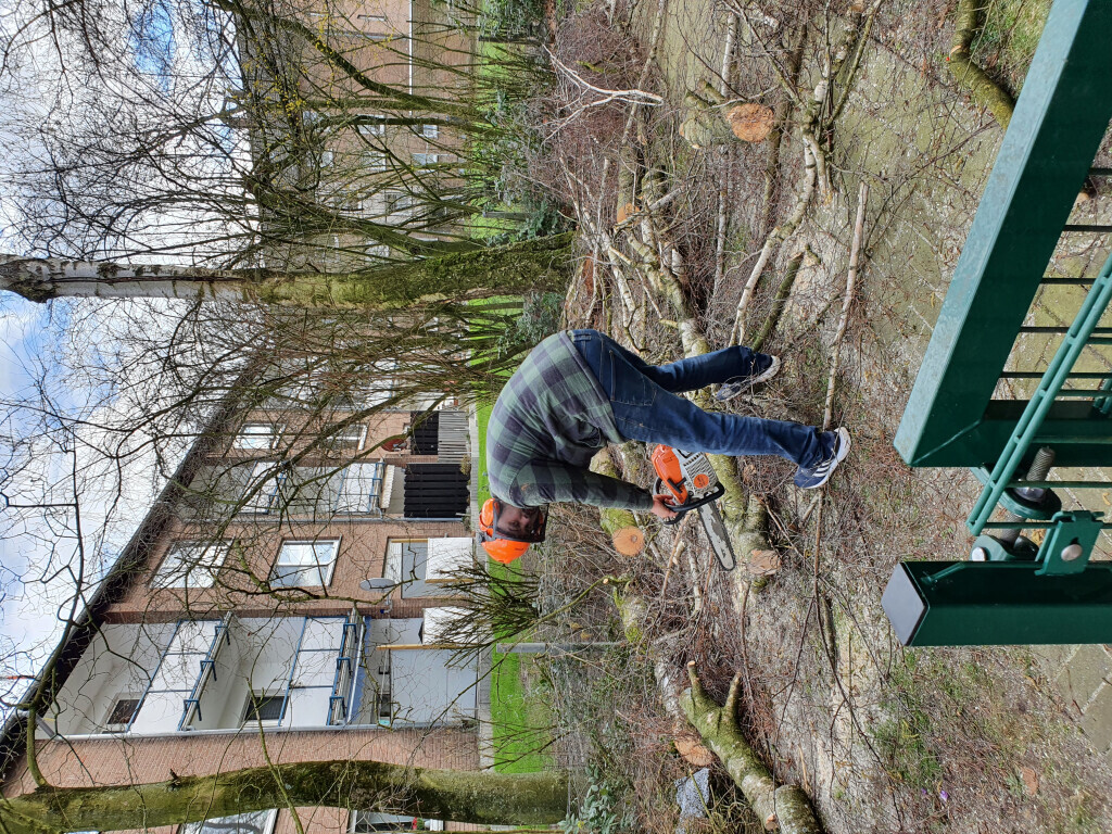 Bilder Hausmeisterservice&Reinigung - Brandt