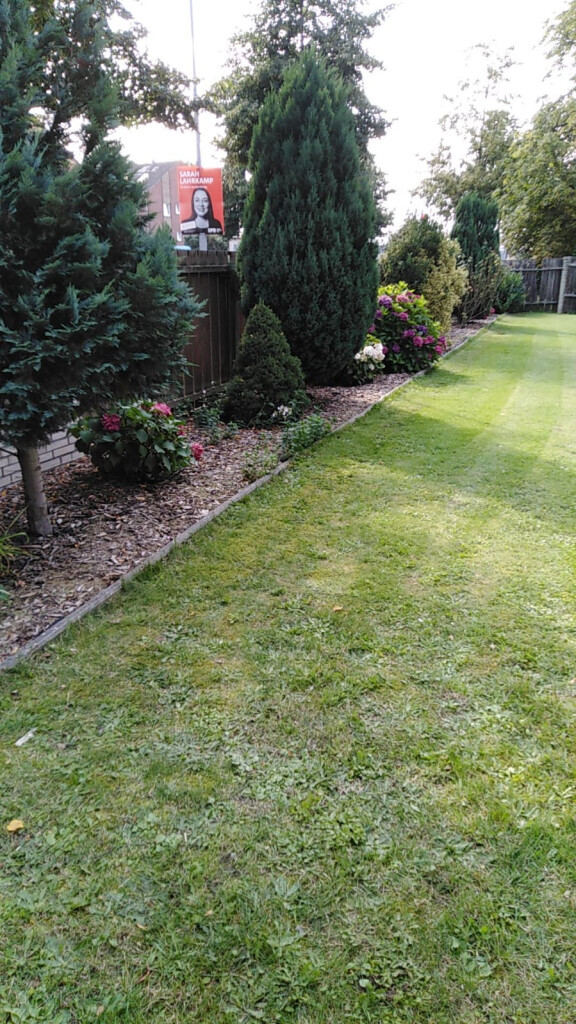 Bilder Hausmeisterservice&Reinigung - Brandt