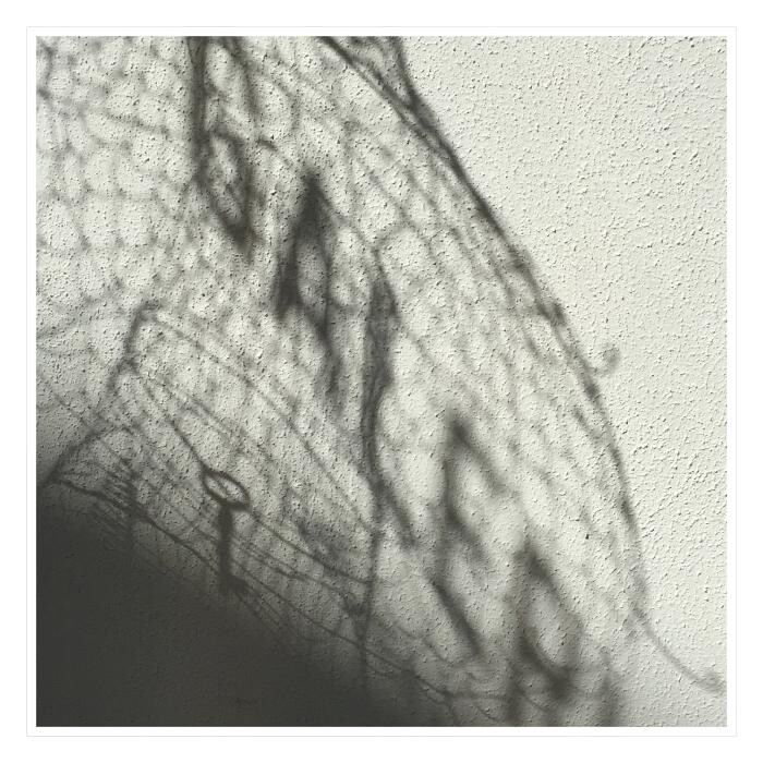 Bilder Nicole Bolze ORIGINALS