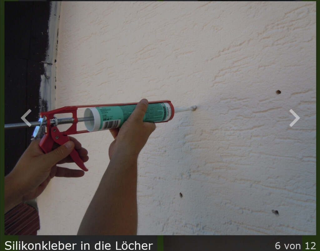 Bilder Biduch rund ums Haus