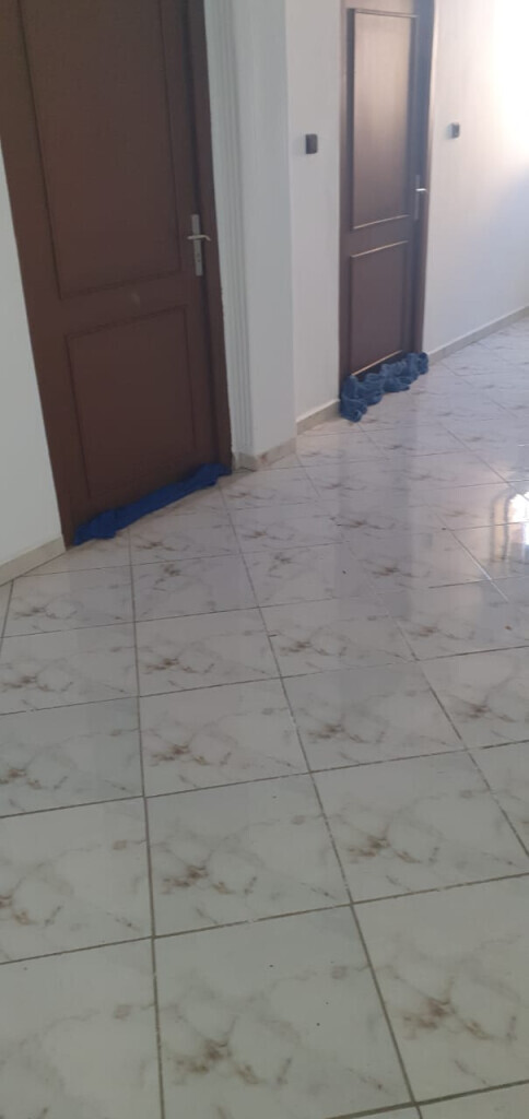 Bilder Biduch rund ums Haus