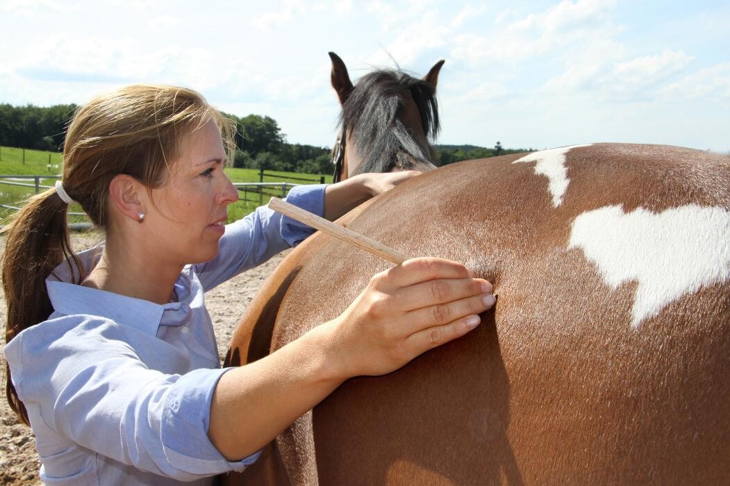 Bilder Gesundheit und Vitalität Michaela Wieland