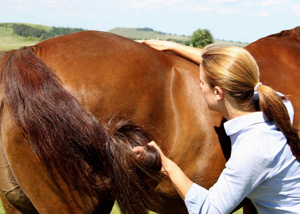Bilder Gesundheit und Vitalität Michaela Wieland