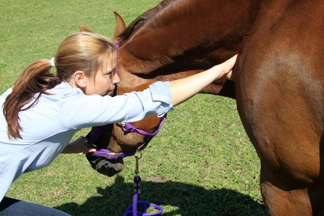 Bilder Gesundheit und Vitalität Michaela Wieland