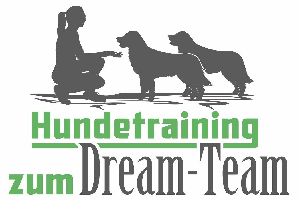 Bilder Hundetraining Zum Dream-Team