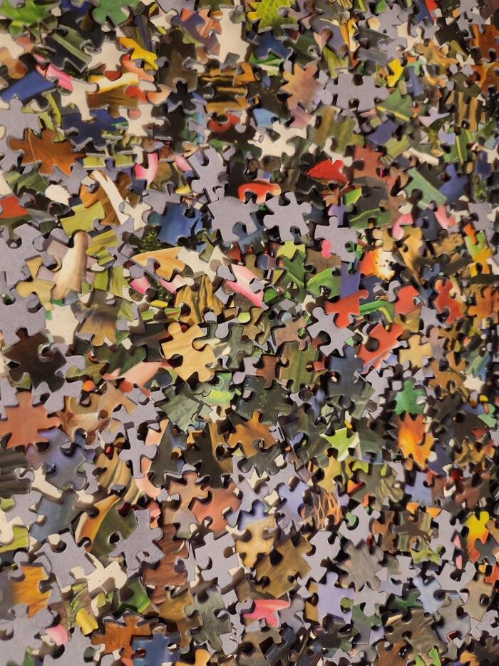 Bilder Gaide und Petersen GbR