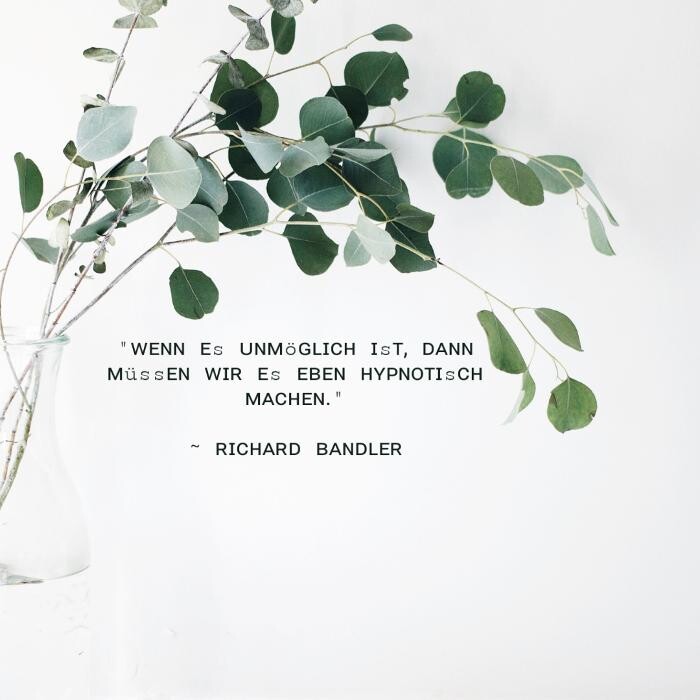 Bilder Einklang Hypnose | Studio für Hypnose und Ernährung | Hypnoeat | Bachblütenberatung