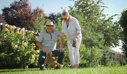 Bilder Pflege-Institut Weindl GmbH