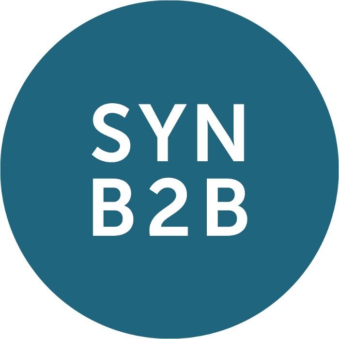 SYNBRAND | The B2B Tech Brand Agency Logo