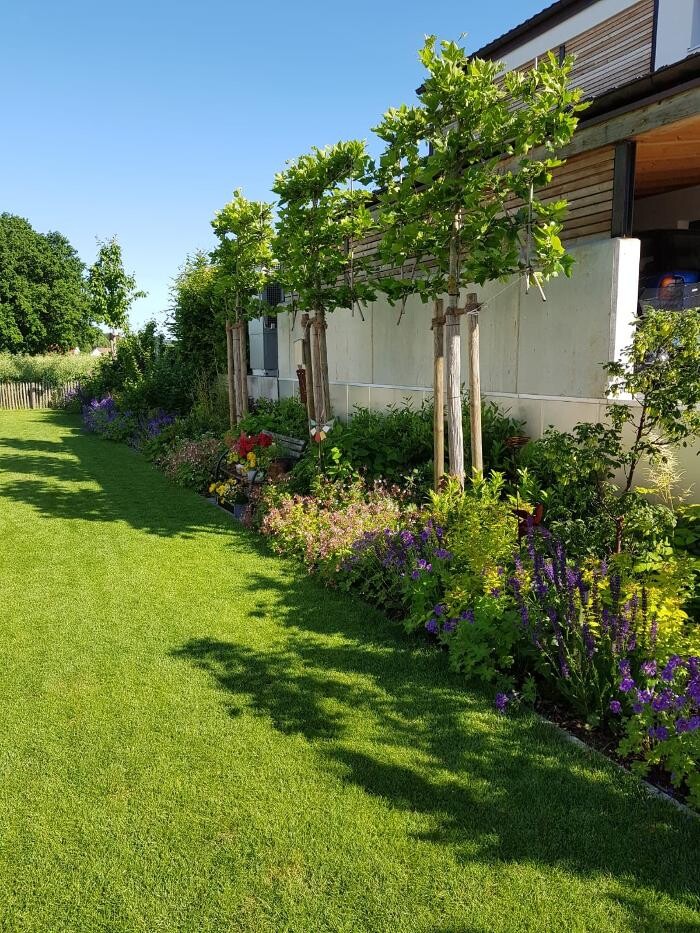 Bilder Garten & Landschaftsgestaltung Pietsch