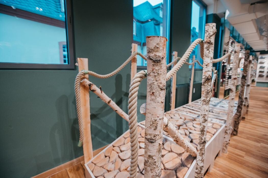 Bilder Globetrotter Trier