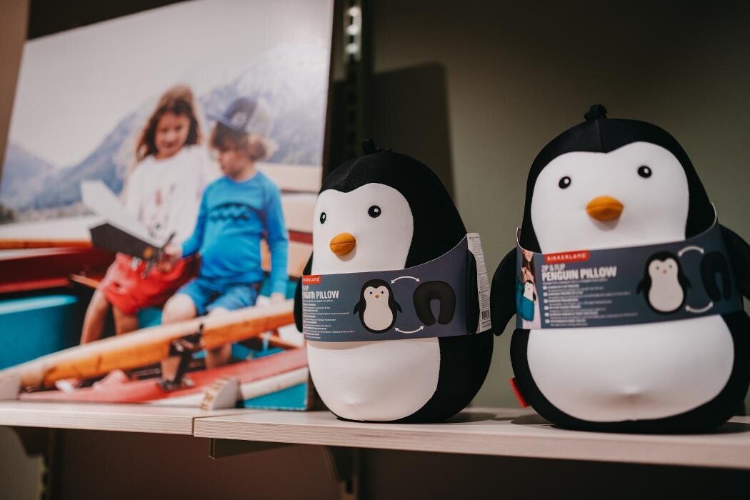 Bilder Globetrotter Augsburg