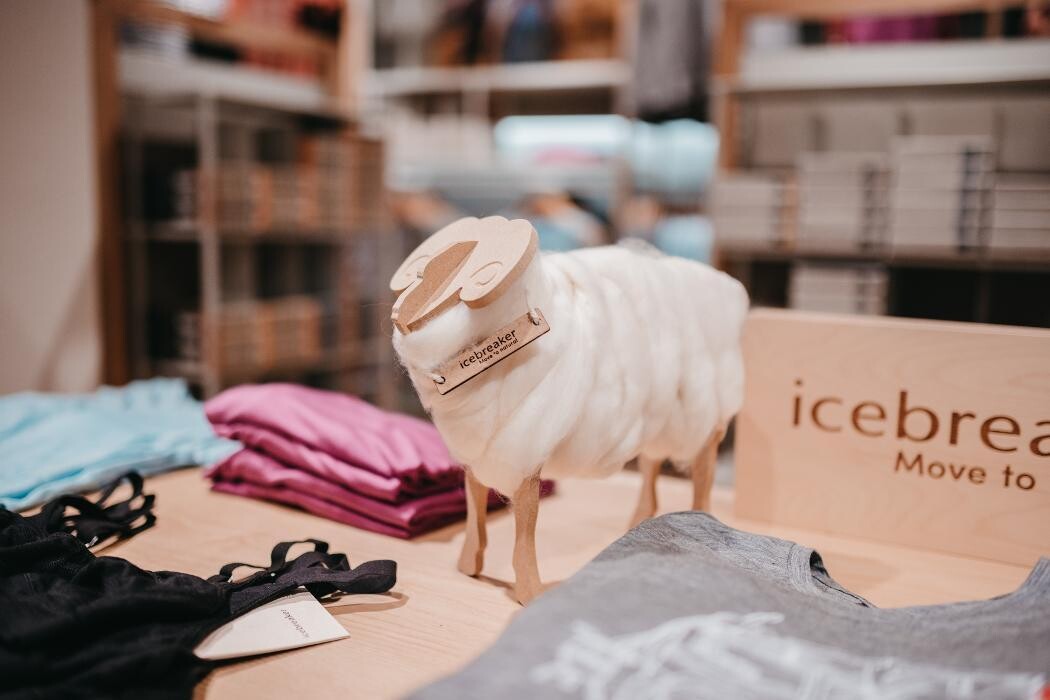 Bilder Globetrotter Augsburg