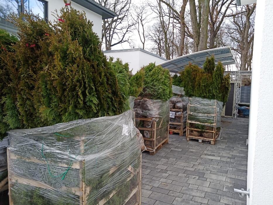 Bilder Lencro Garten und Landschaftsbau