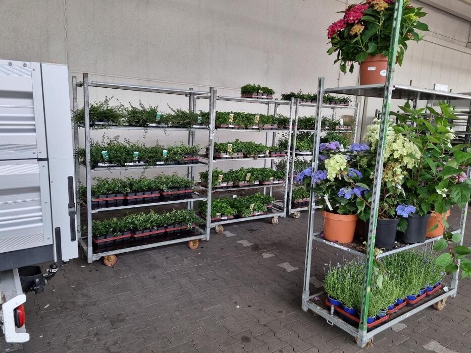 Bilder Lencro Garten und Landschaftsbau