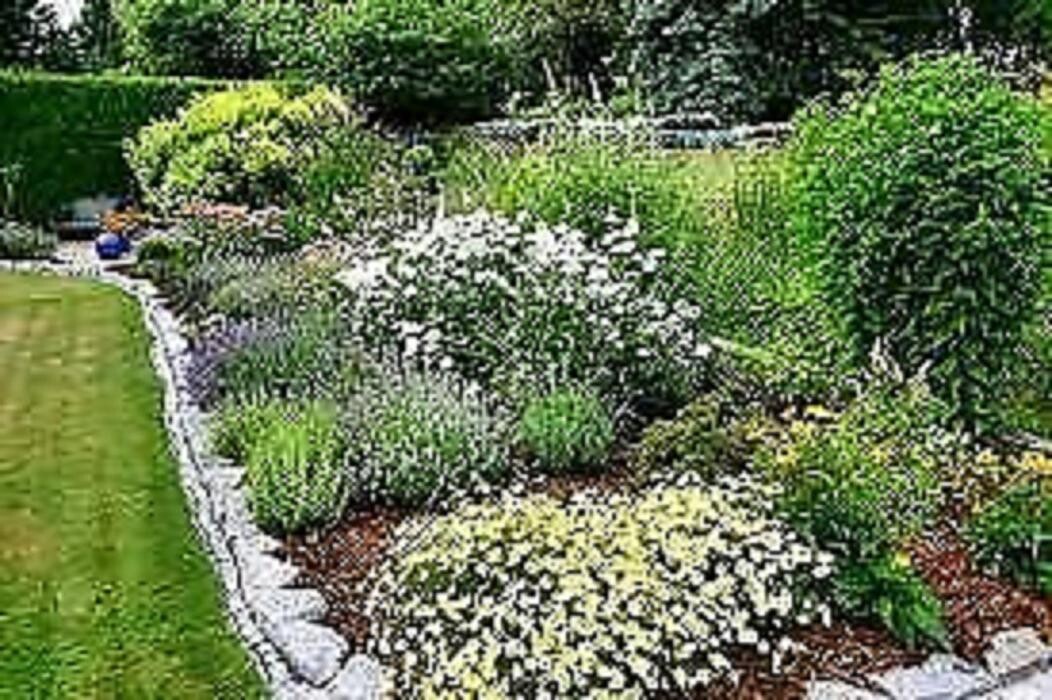 Bilder Gartenbau Kurzrock