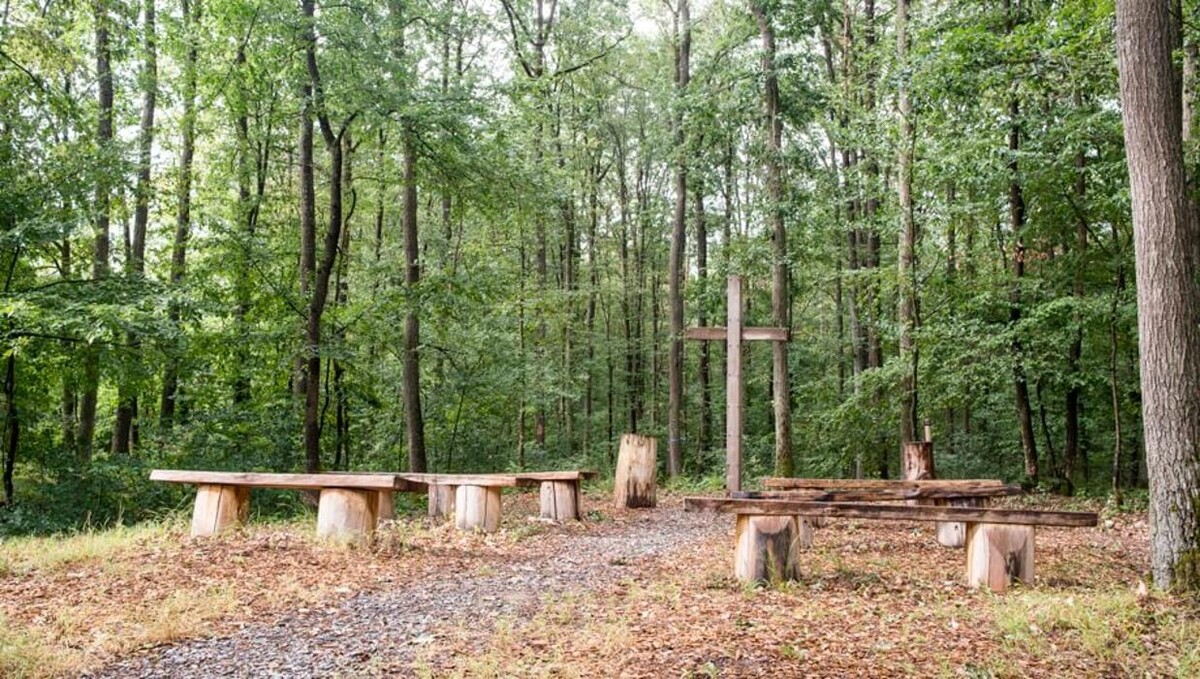 Bilder FriedWald am Zabelstein