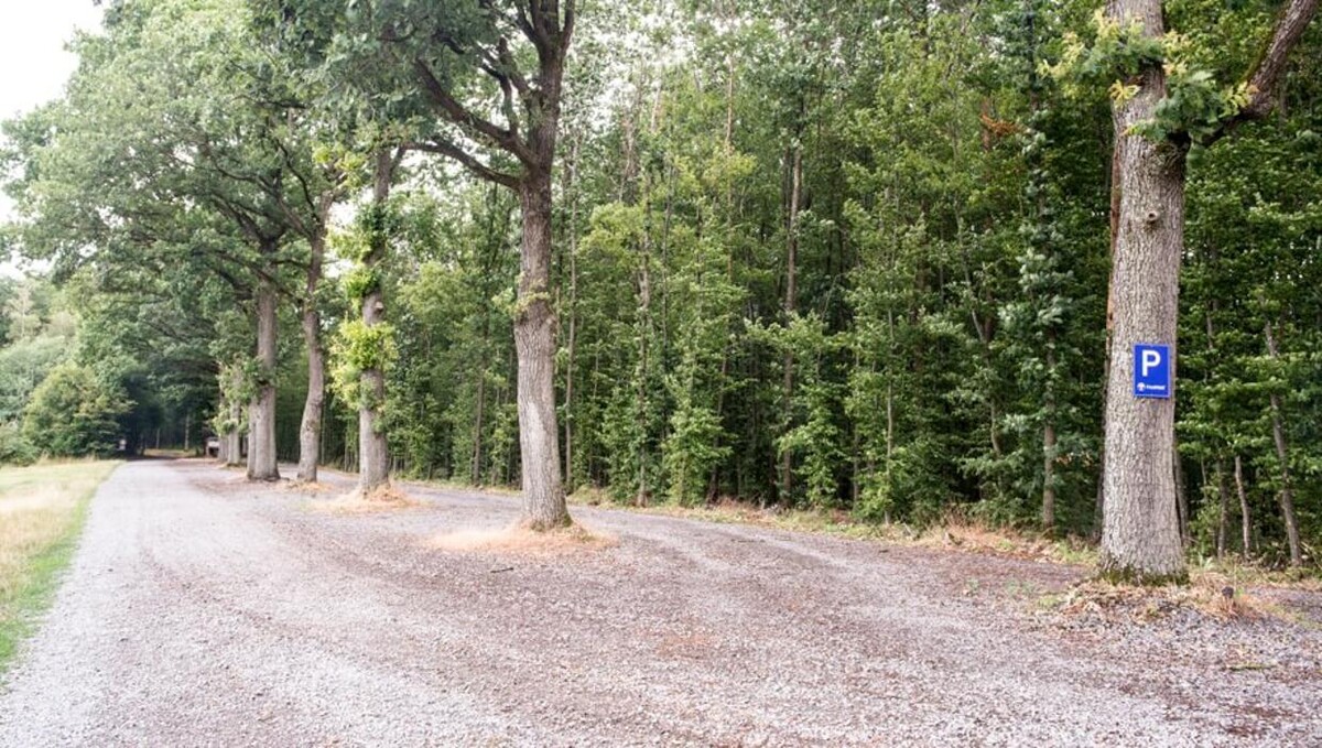 Bilder FriedWald am Zabelstein