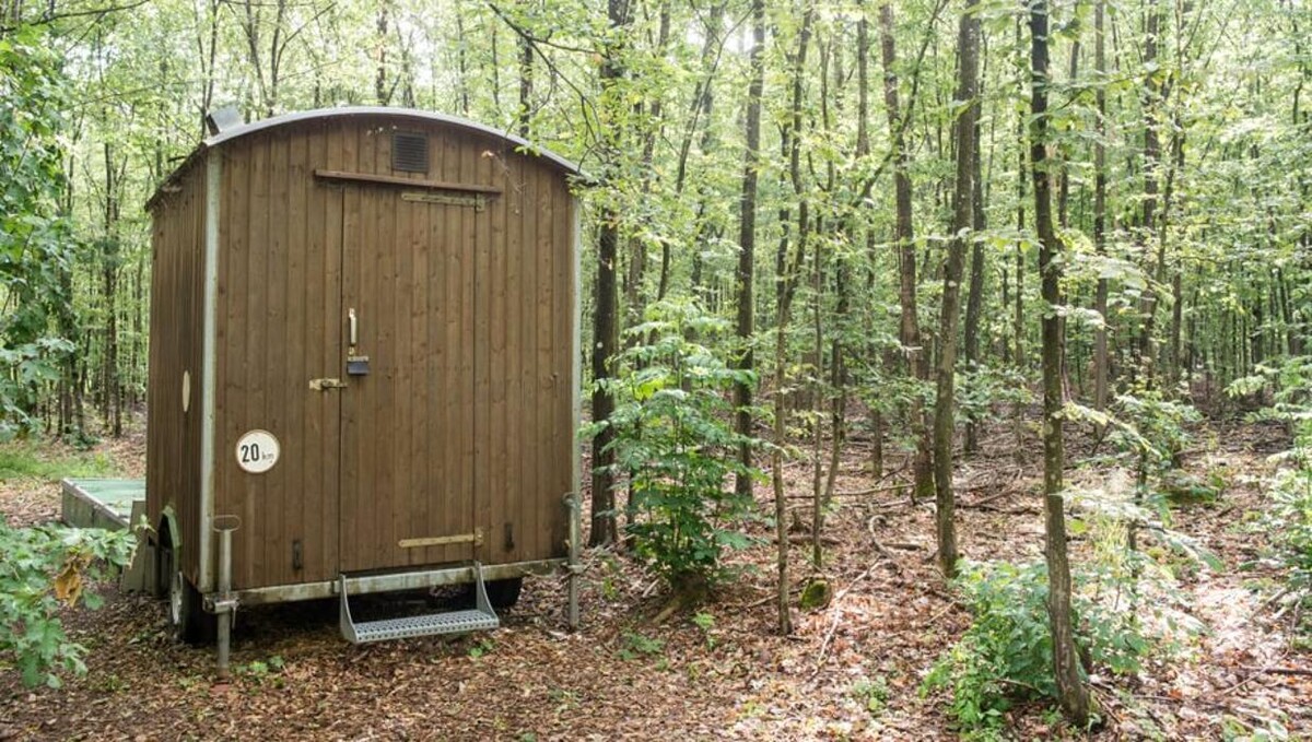 Bilder FriedWald am Zabelstein