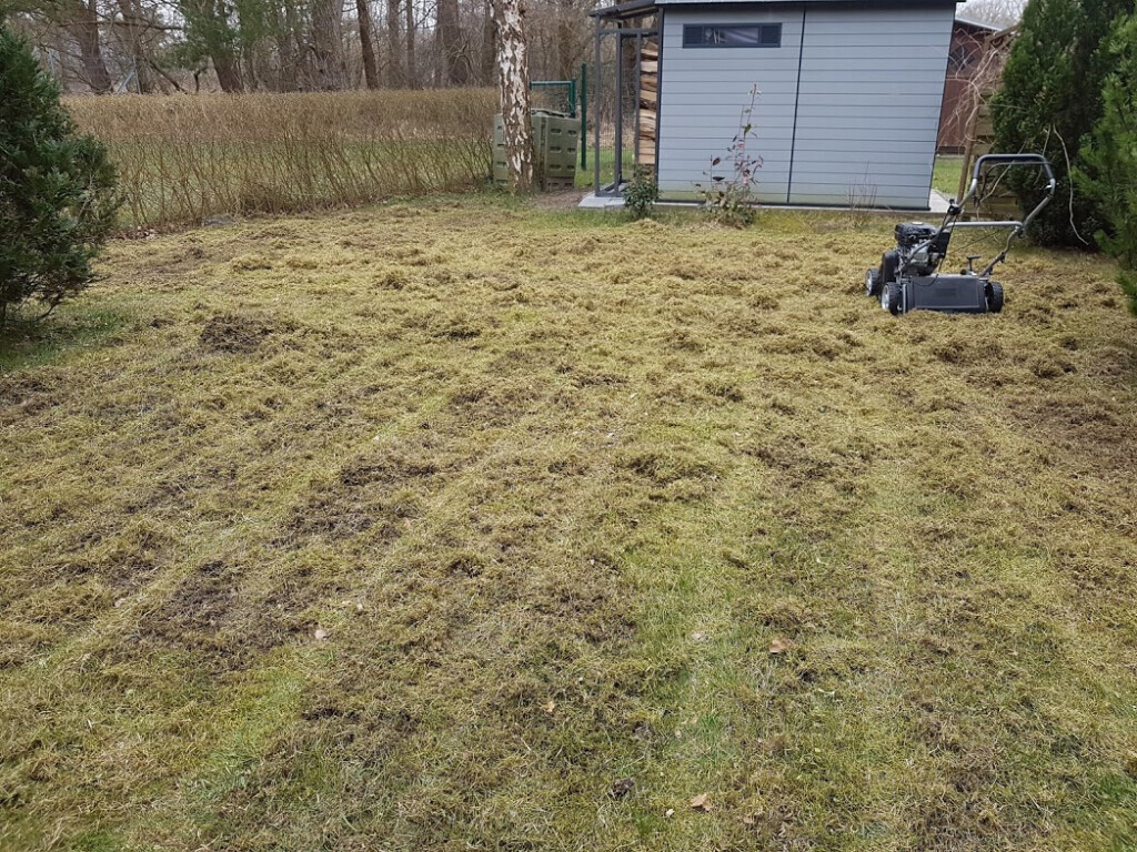 Bilder Reinigungs. Und Hausmeisterservice Dembowski