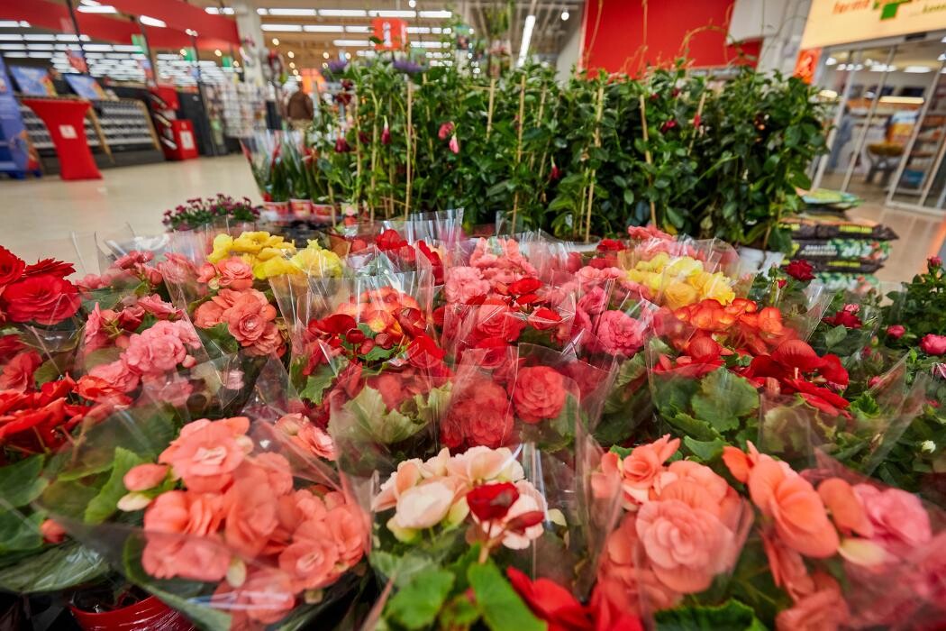 Bilder Kaufland Landau in der Pfalz