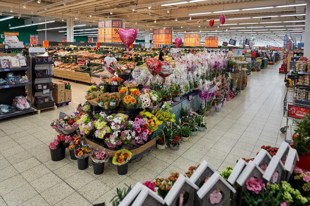 Bilder Kaufland Landau in der Pfalz