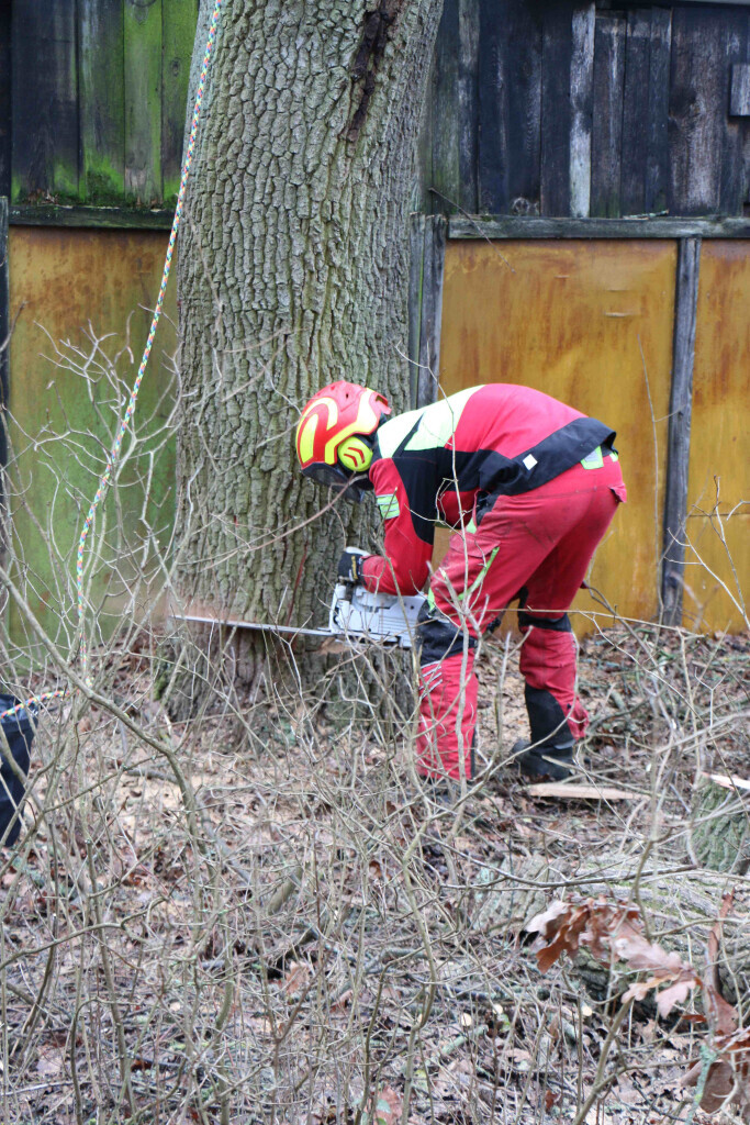 Bilder Der Gartenpionier