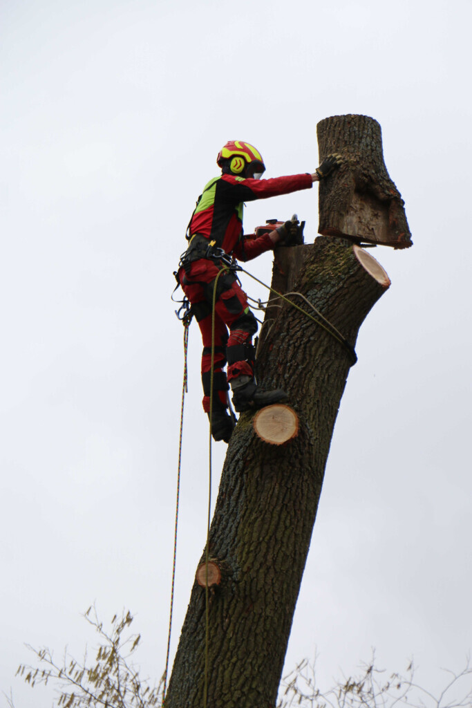 Bilder Der Gartenpionier