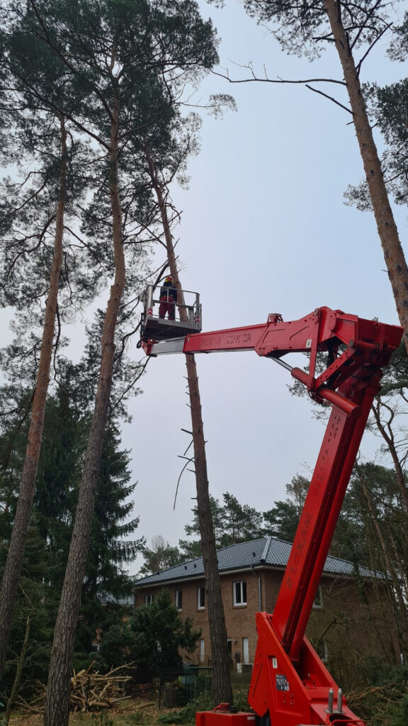 Bilder Der Gartenpionier