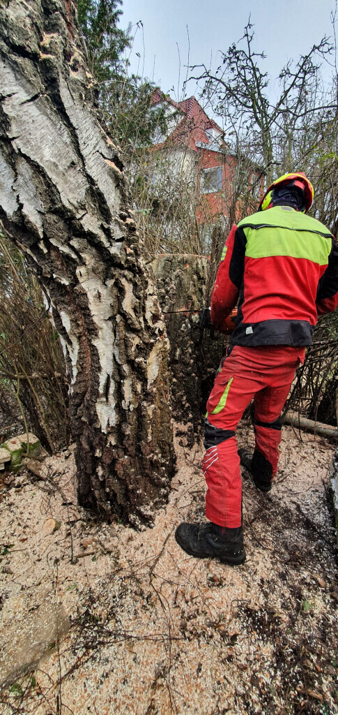 Bilder Der Gartenpionier