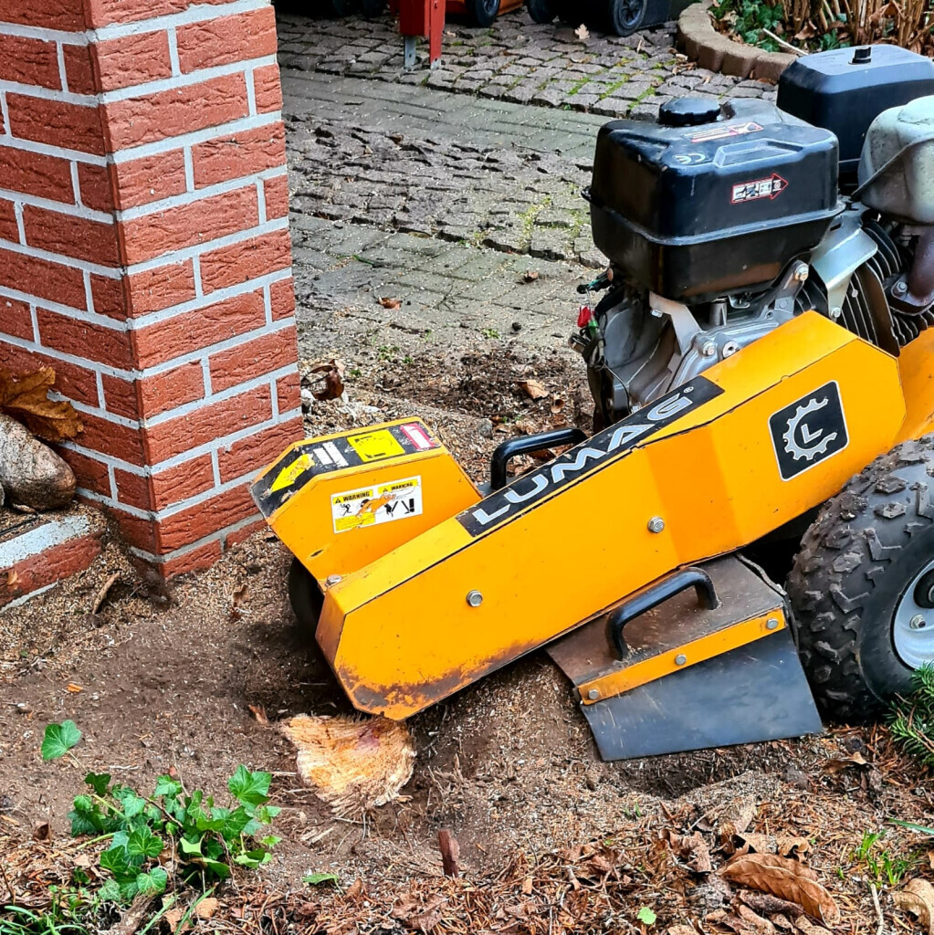 Bilder Der Gartenpionier