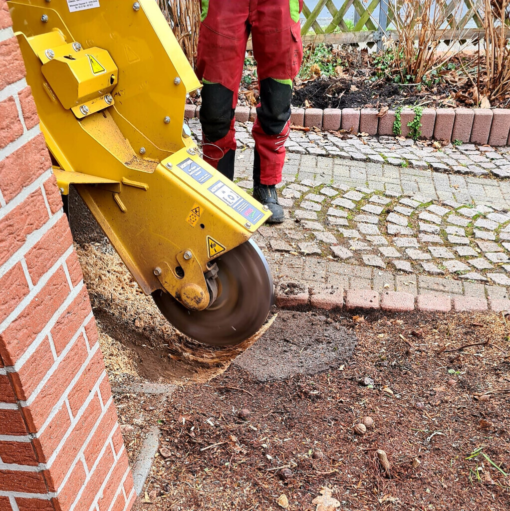 Bilder Der Gartenpionier