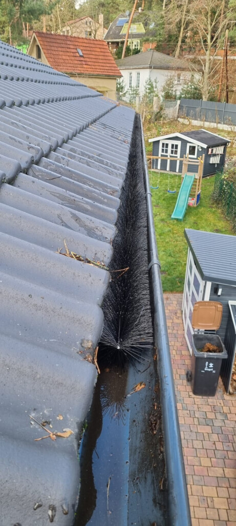 Bilder Der Gartenpionier