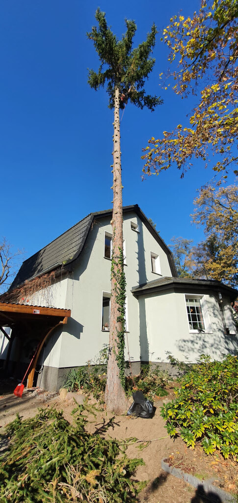 Bilder Der Gartenpionier