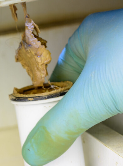 Bilder Romundo Rohrreinigung rund um die Uhr