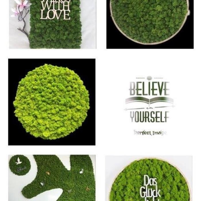 Bilder Strenz Living GmbH&Co.KG