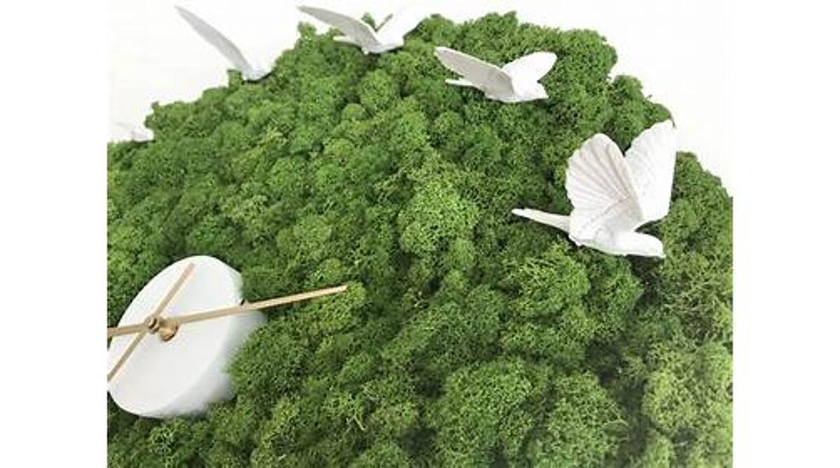 Bilder Strenz Living GmbH&Co.KG